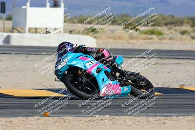 media/Feb-03-2024-SoCal Trackdays (Sat) [[767c60a41c]]/11-Turn 16 (2pm)/